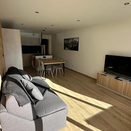 Apartment 2 Pieces A Chatel, Pour 5 Personnes Avec Wifi Et Animaux Admis Chatel